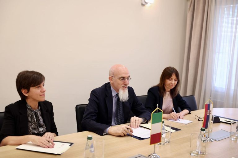 Gori Paunovic 3